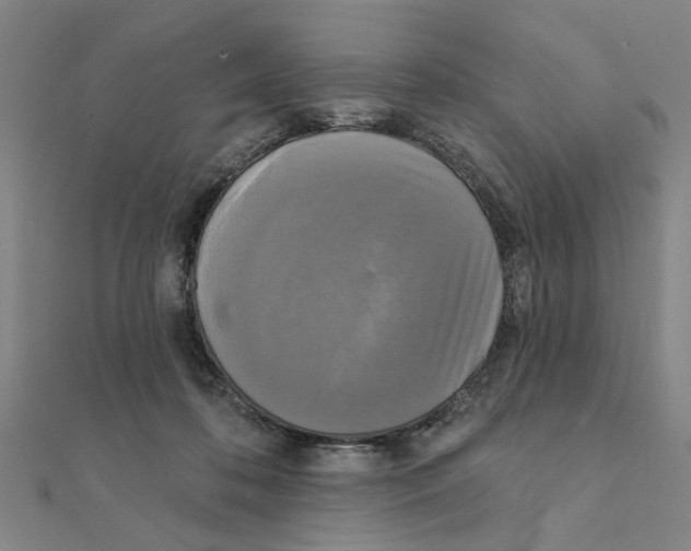 X0000111220316200907301231