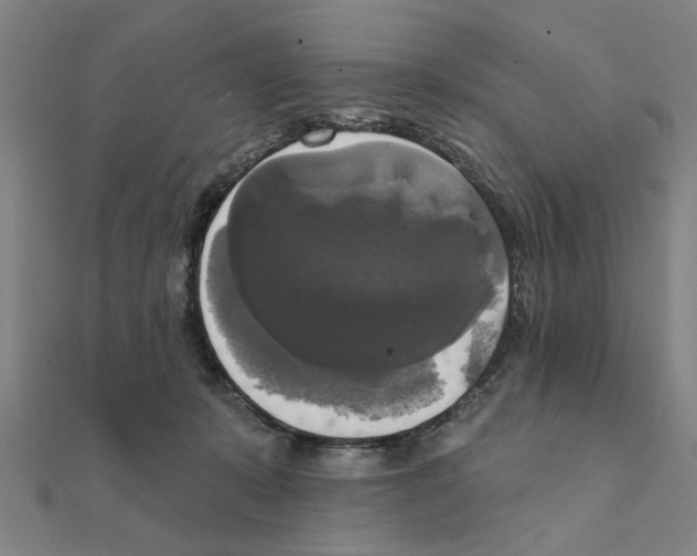 X0000111220319200907301231