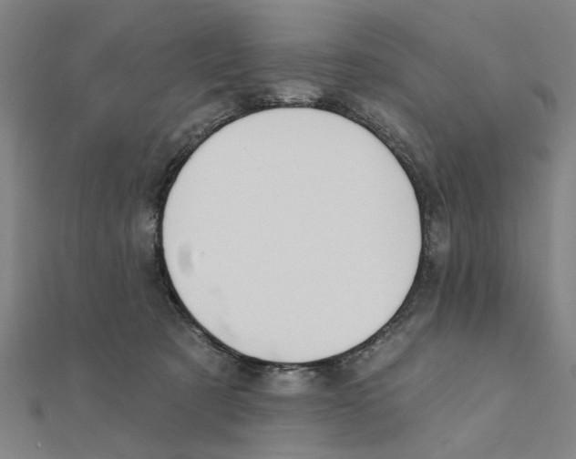 X0000111220321200907301231