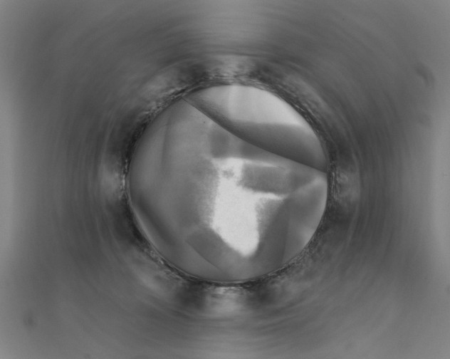 X0000111220324200907301231