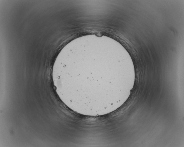 X0000111220325200907301231