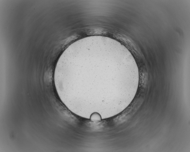 X0000111220326200907301231