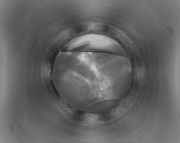 X0000111220328200907301231