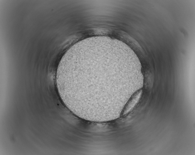X0000111220329200907301231