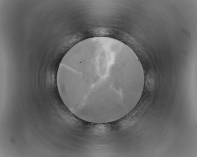 X0000111220330200907301231