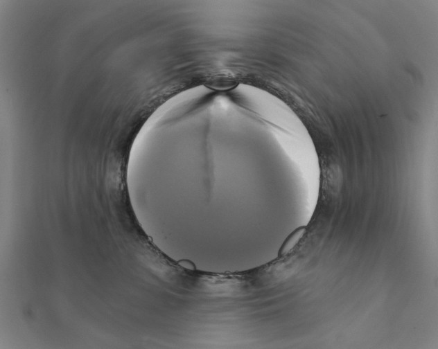 X0000111220331200907301231