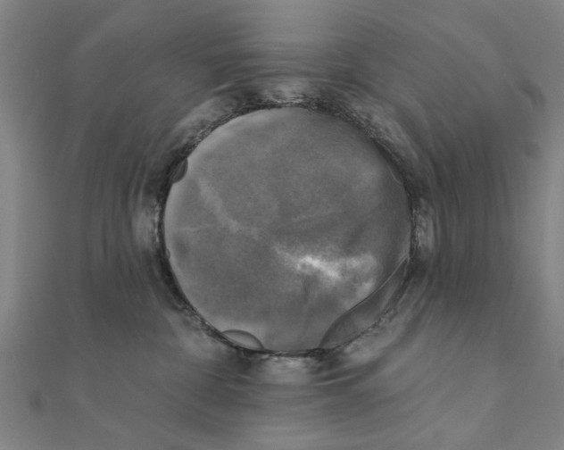 X0000111220332200907301231