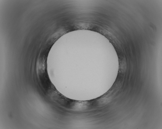 X0000111220334200907301231