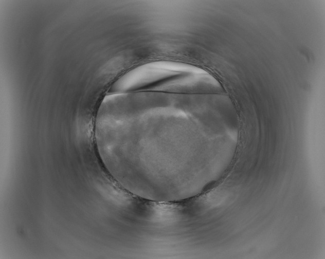 X0000111220336200907301231