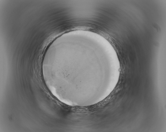 X0000111220337200907301230