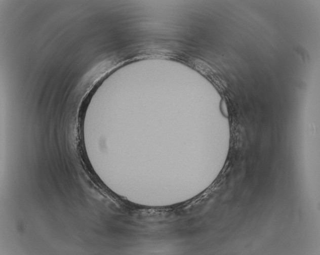 X0000111220338200907301230