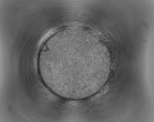 X0000111220341200907301230