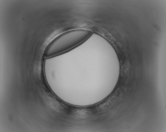 X0000111220344200907301230