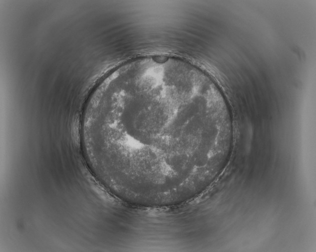 X0000111220345200907301230
