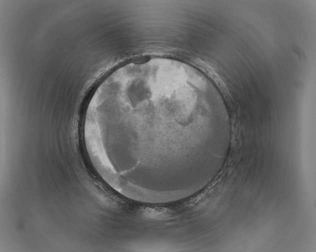 X0000111220346200907301230