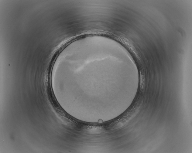 X0000111220348200907301230