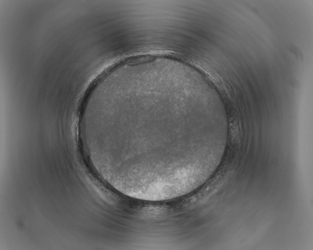 X0000111220350200907301230
