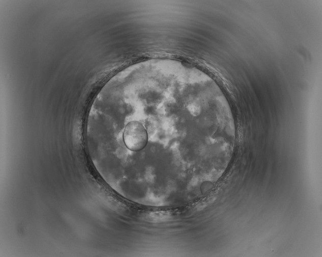 X0000111220353200907301230