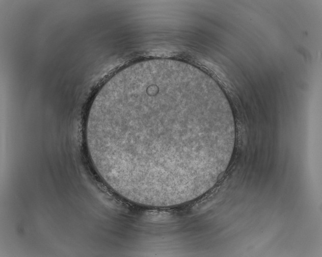 X0000111220354200907301230