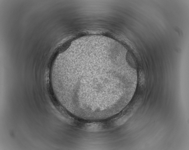 X0000111220356200907301230