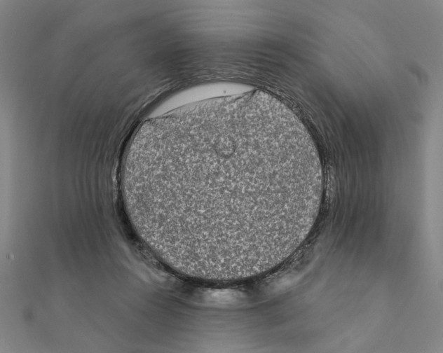 X0000111220360200907301230