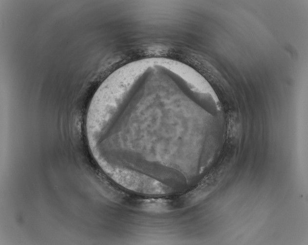 X0000111220363200907301230