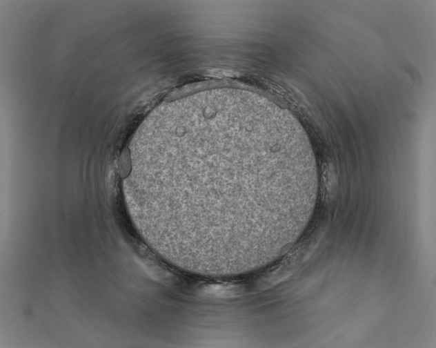 X0000111220364200907301230