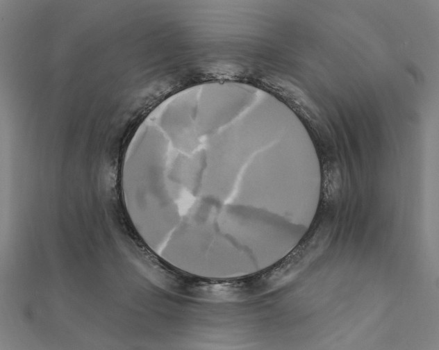 X0000111220365200907301230
