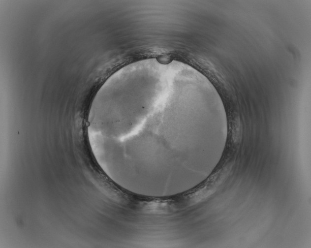 X0000111220366200907301230