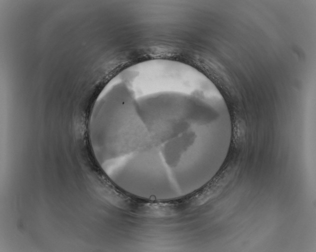 X0000111220367200907301230