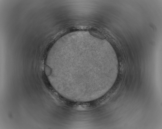 X0000111220368200907301230