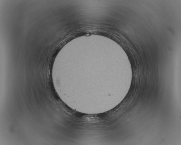 X0000111220372200907301230