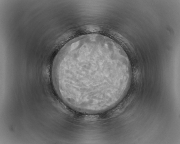 X0000111220373200907301230