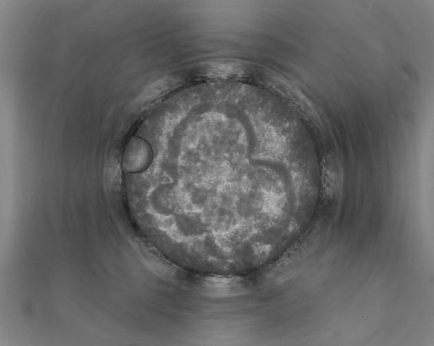 X0000111220375200907301230
