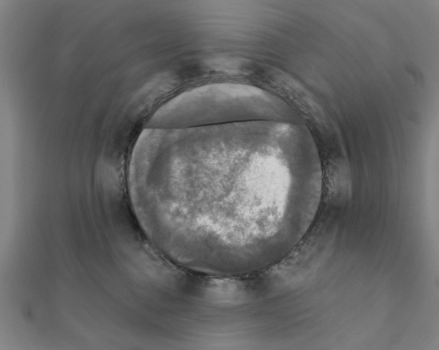 X0000111220376200907301230