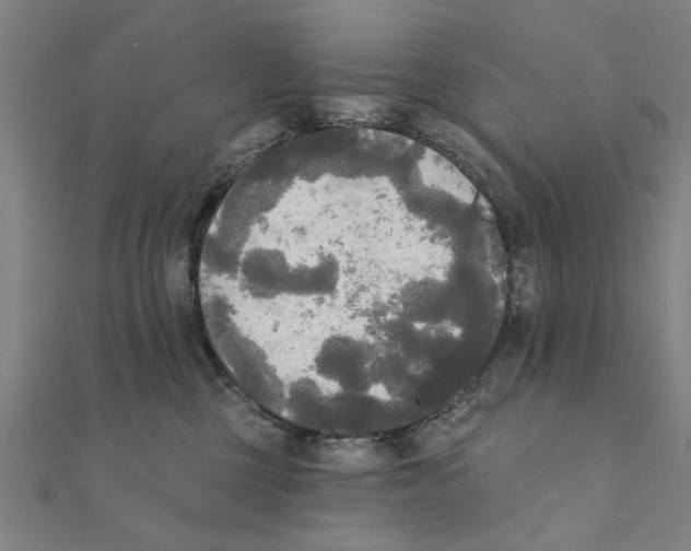 X0000111220377200907301230