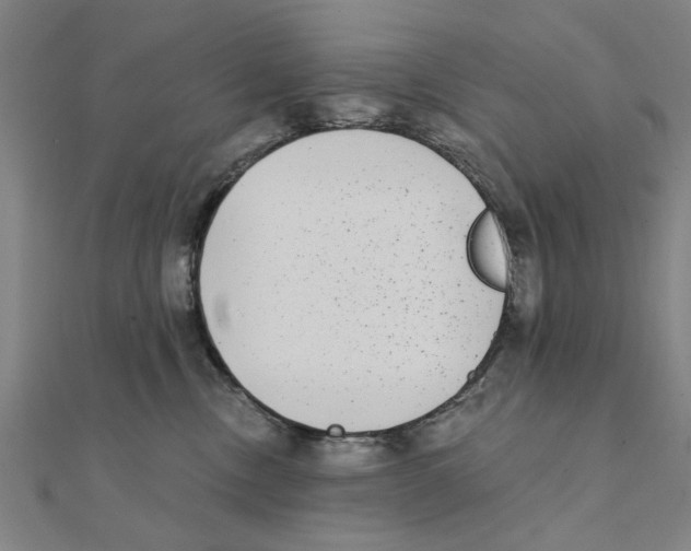X0000111220378200907301230