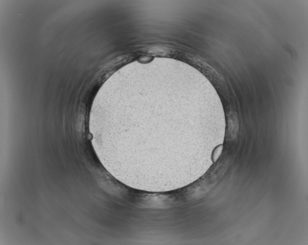 X0000111220379200907301230