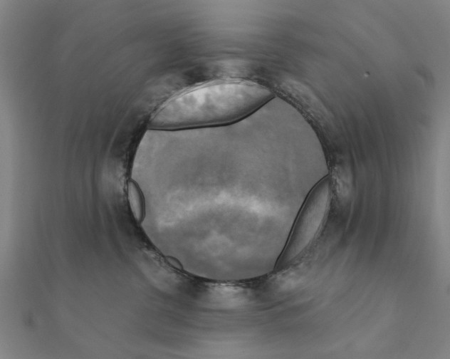 X0000111220380200907301230