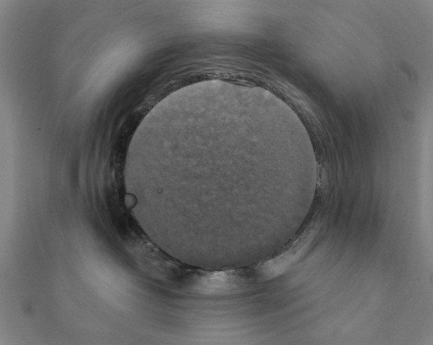 X0000111220382200907301230