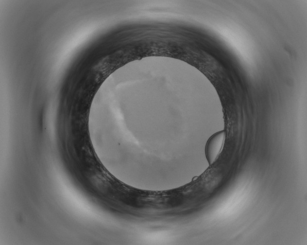 X0000111220383200907301230