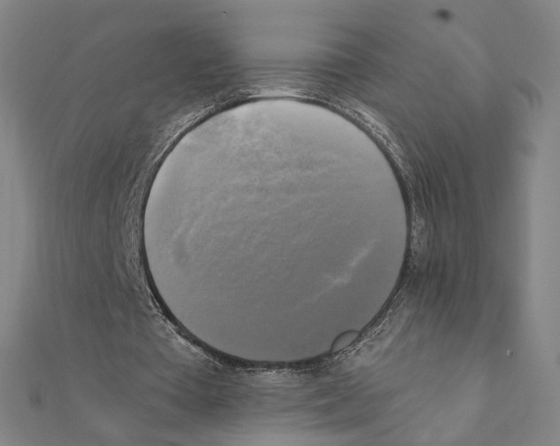 X0000111220385200907301230