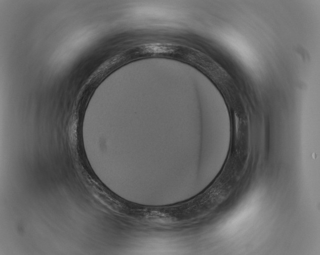 X0000111220387200907301230