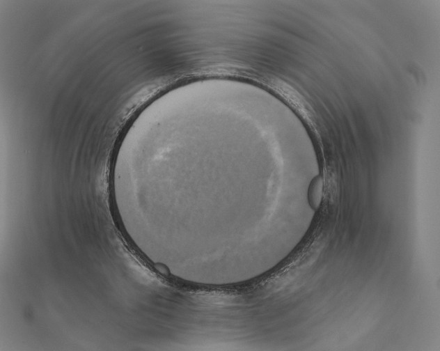X0000111220389200907301230
