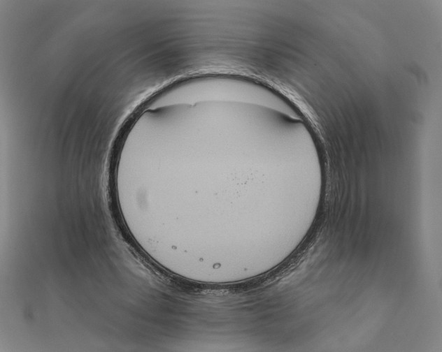 X0000111220391200907301230