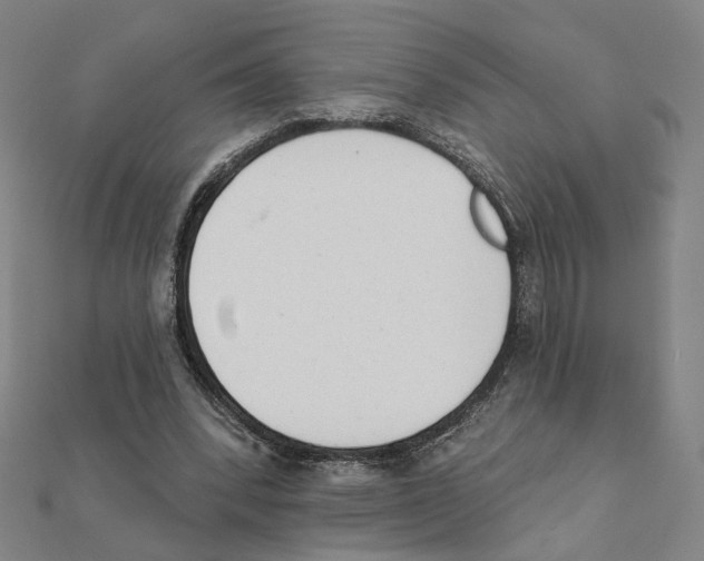 X0000111220392200907301230