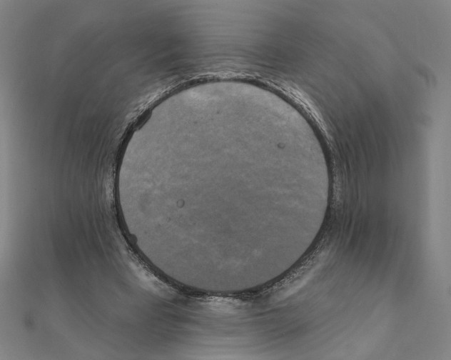 X0000111220393200907301230