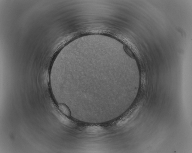 X0000111220397200907301230