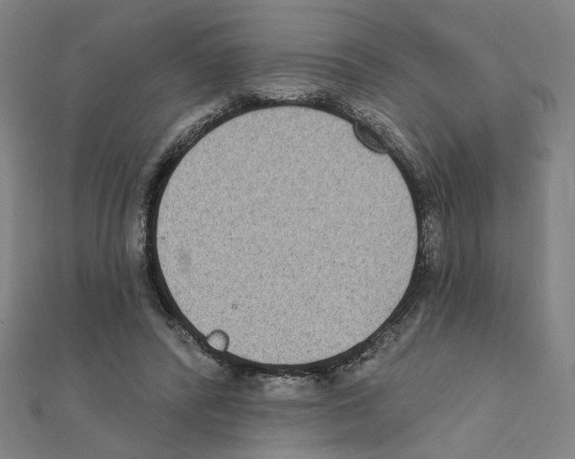 X0000111220400200907301230