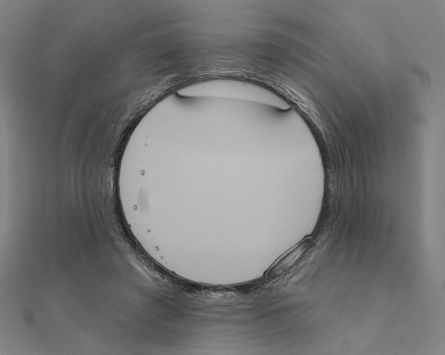 X0000111220401200907301230